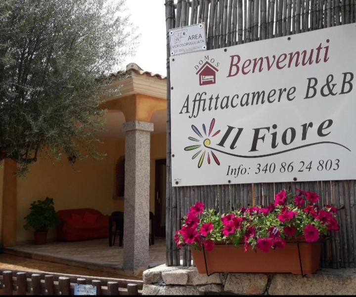 Affittacamere Il Fiore Позада Екстериор снимка